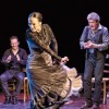 flamenco por un poeta
